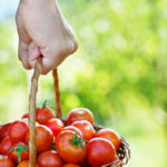 Kleine Tomaten im Korb