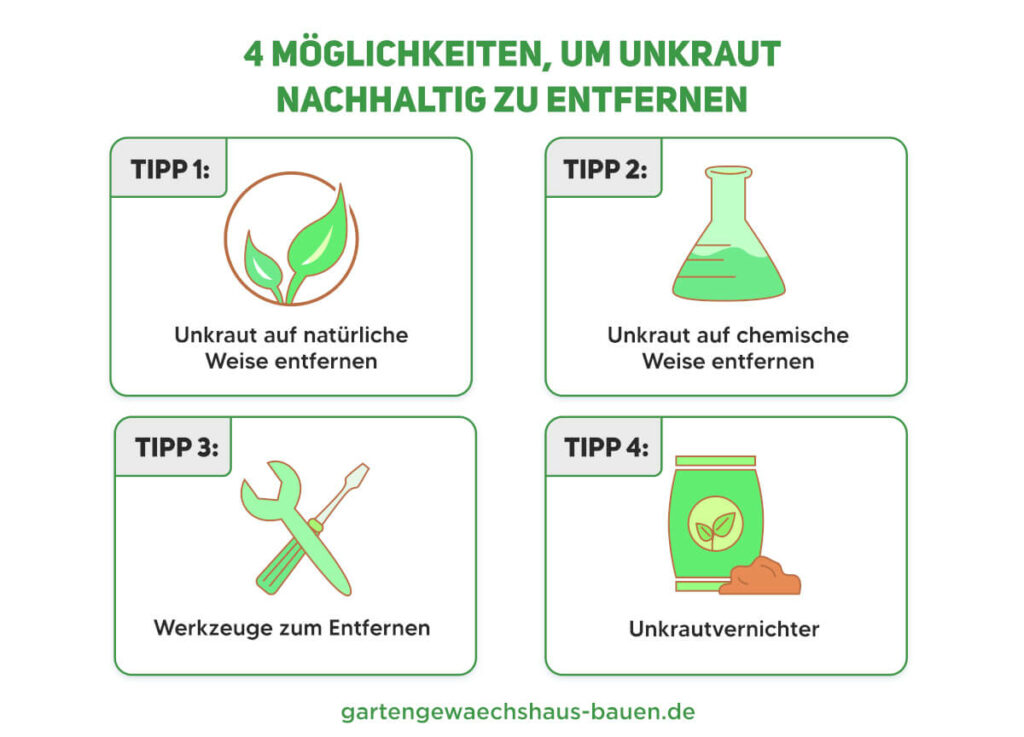 4 Tipps zum erfolgreichen Unkrautentfernen