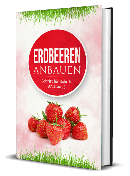Buchcover für das Anbauen von Erdbeeren