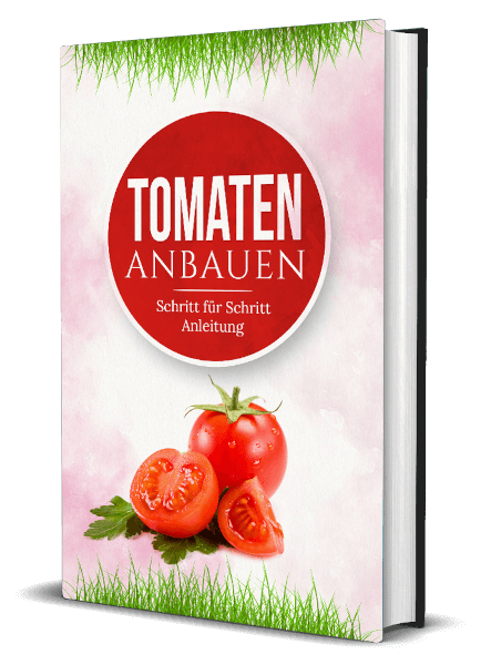 Buchcover für das Anbauen von Tomaten