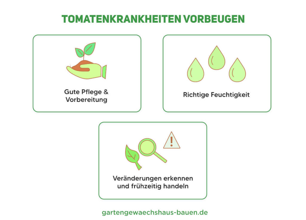 Übersicht für das Vorbeugen von Tomatenkrankheiten als Infografik